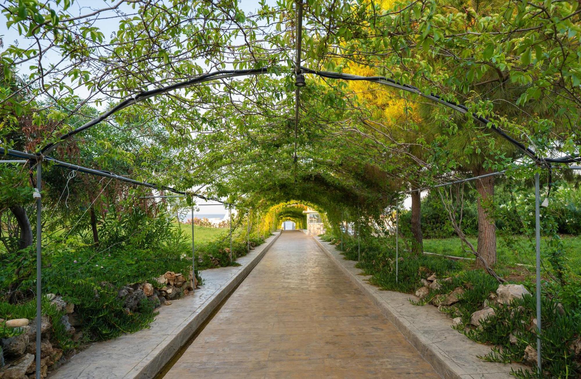 Hotel Master Family Club Manavgat Exteriér fotografie